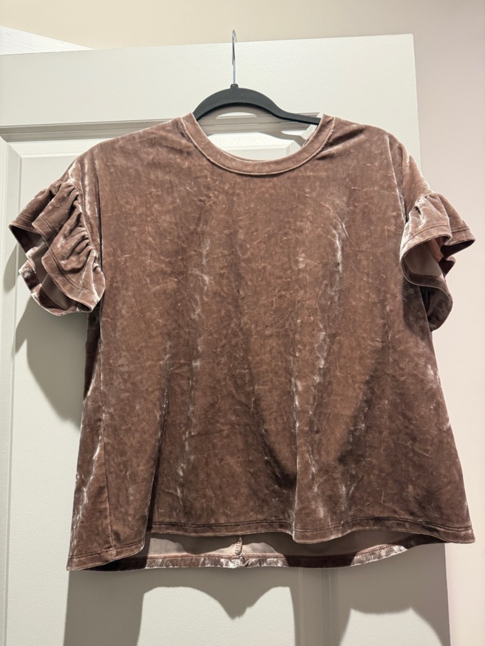 Velvet Ruffle Sleeve Women’s Top - Taupe